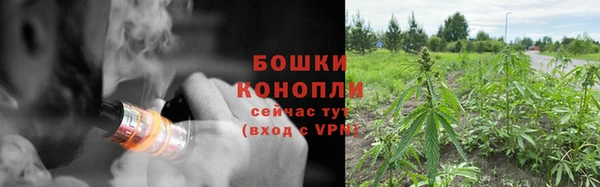 хмурый Новозыбков