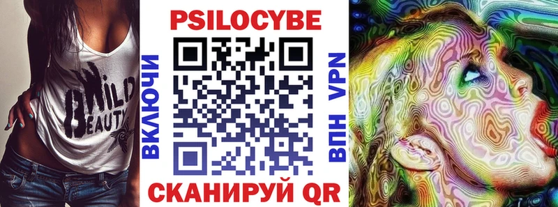 Галлюциногенные грибы Cubensis  Купить где  Карачаевск 
